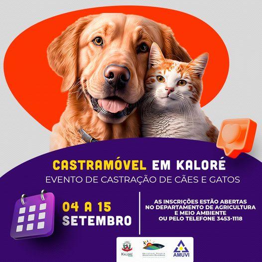 Notícia